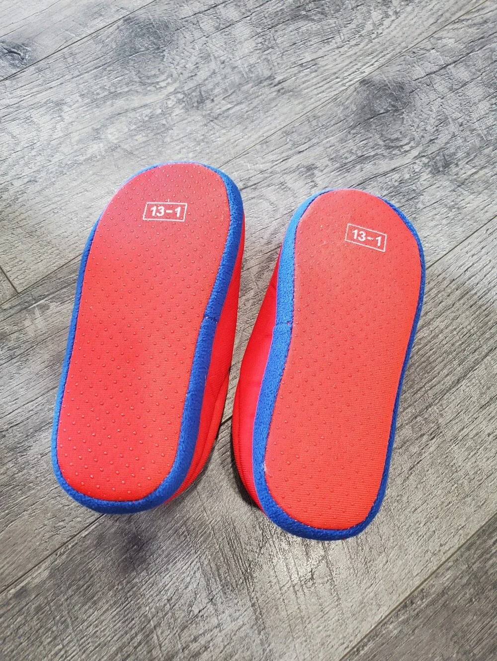 Kids Paw Patrol And Bluey Slippers